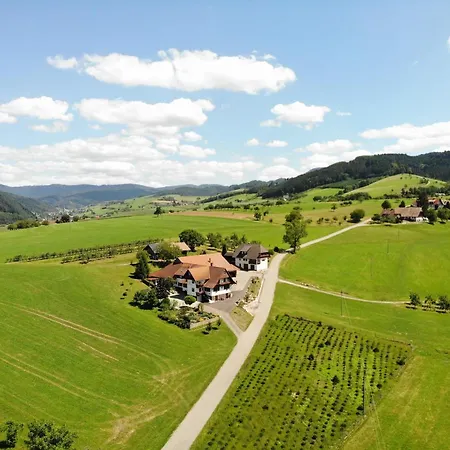 Apartmán Schwarzwald Fewo Tulpenbaum Zell am Harmersbach