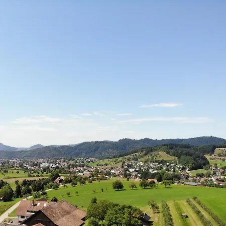 Schwarzwald Fewo Tulpenbaum *